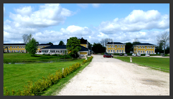 golfen